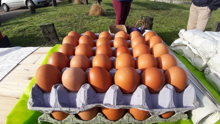 Inici el Mercado de la Estacin con presencia de 13 productores