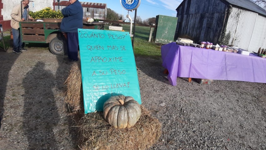 Inici el Mercado de la Estacin con presencia de 13 productores