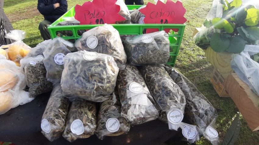 Inici el Mercado de la Estacin con presencia de 13 productores