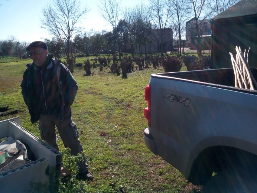 En tiempo record se otorgaron todos los lamos y sauces del vivero mun