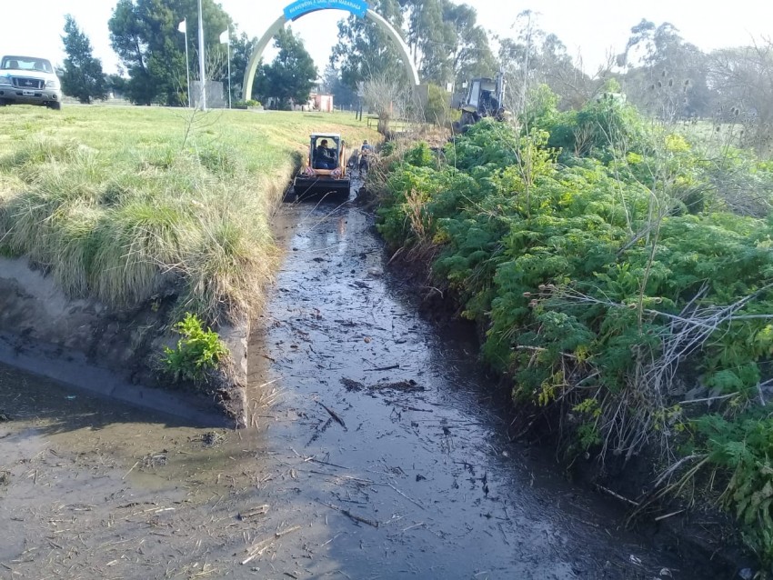 Comenzó la limpieza de canales de desagote de la ciudad