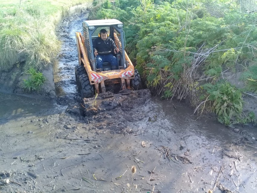 Comenzó la limpieza de canales de desagote de la ciudad