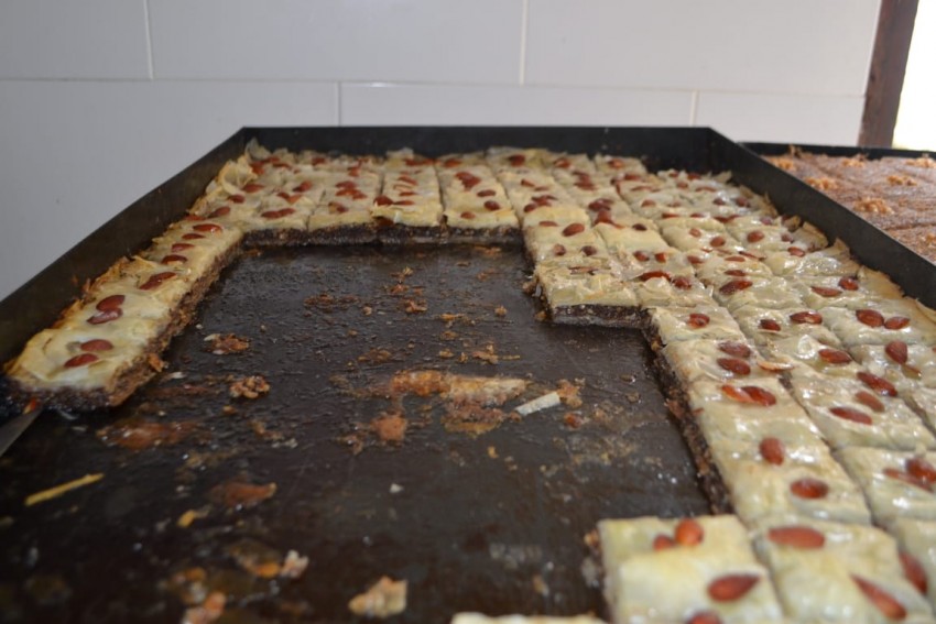 Crisol de Razas volvi a convocar a centenares de personas que agotaro