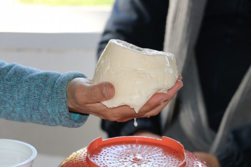 Ms de 40 personas participaron del curso de elaboracin de quesos y d