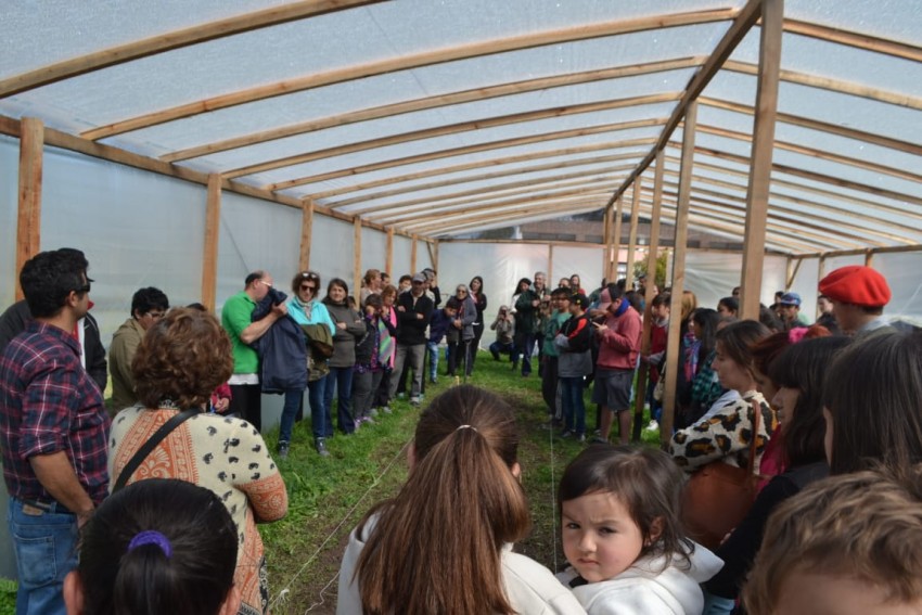 Se entregaron semillas, de manera gratuita, para más de 100 huertas fa