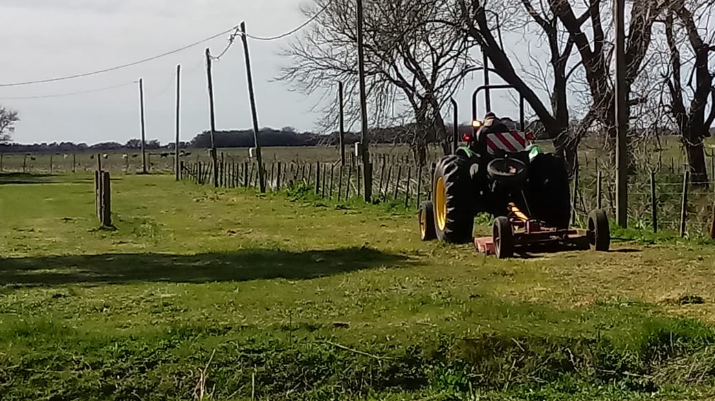 Expo rural: Empleados municipales realizan tareas de desmalezamiento e