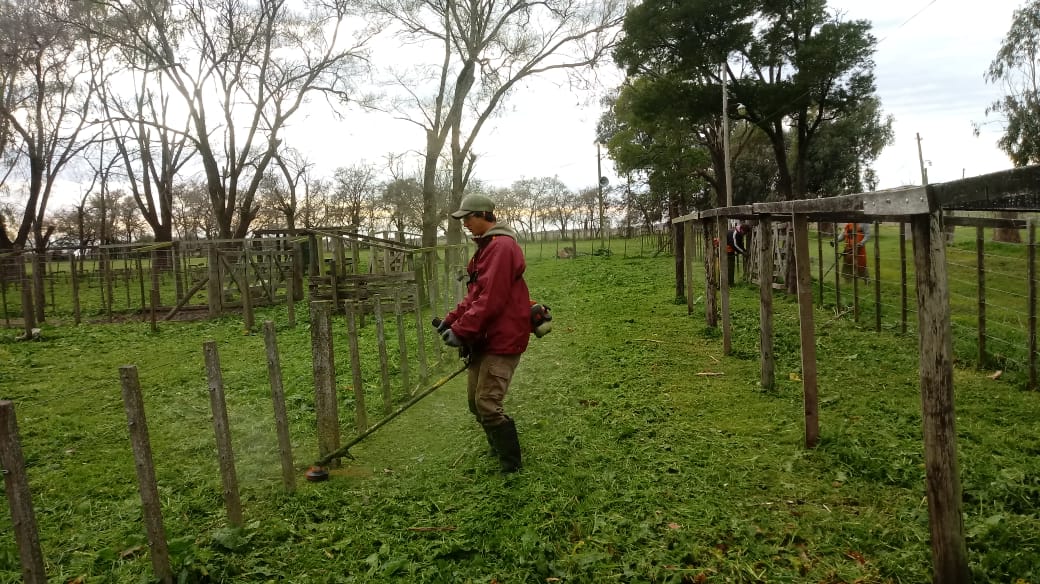 Expo rural: Empleados municipales realizan tareas de desmalezamiento e