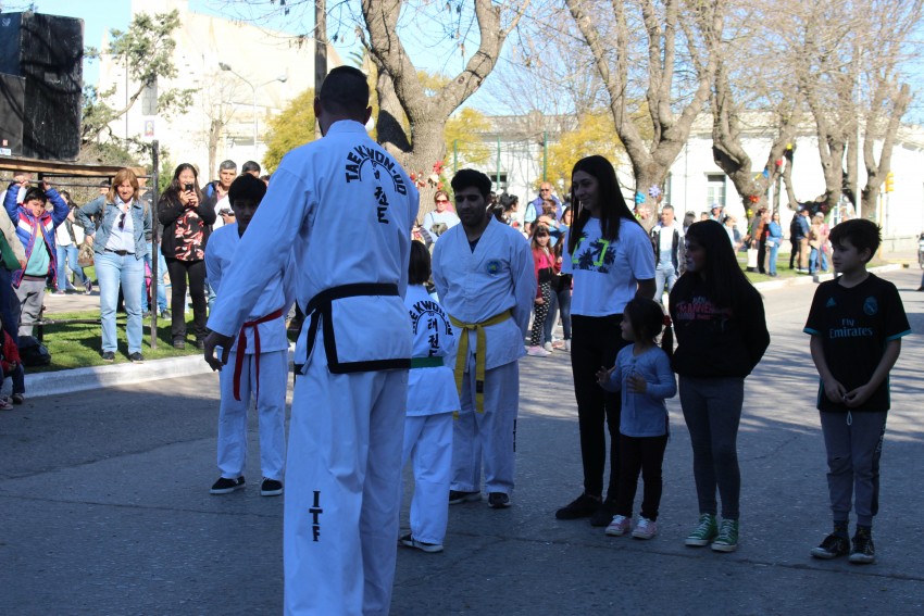El desfile de la primavera congreg a ms de 40 instituciones