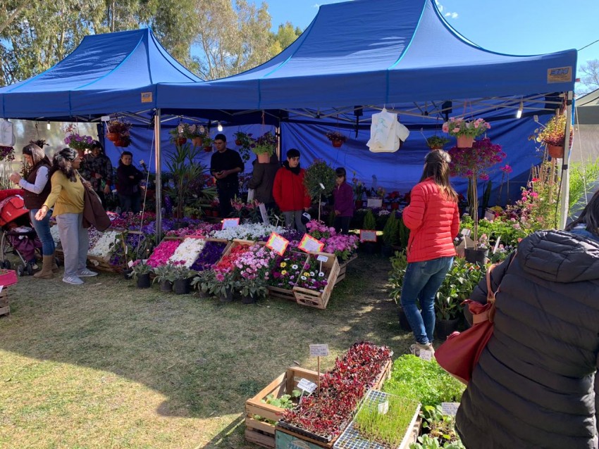 La Expo-Rural cierra su propuesta 2019 con msica y shows