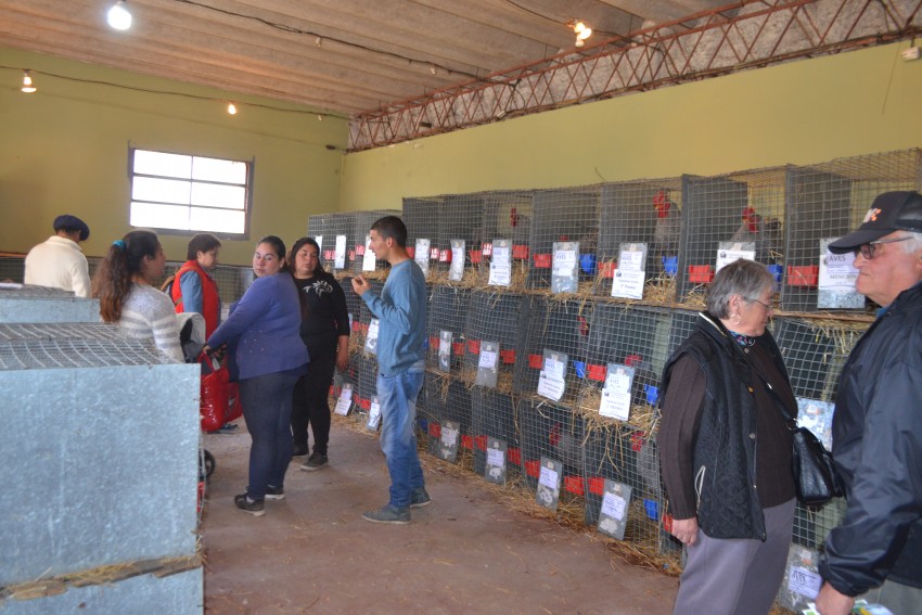 La Expo Rural culmin con una excelente jornada durante el domingo