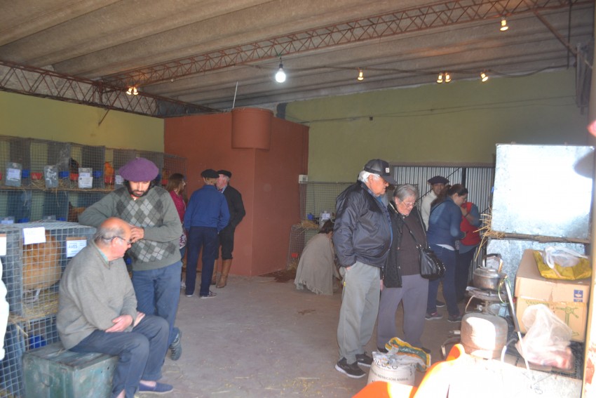 La Expo Rural culmin con una excelente jornada durante el domingo