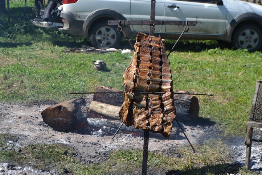 La Expo Rural culmin con una excelente jornada durante el domingo