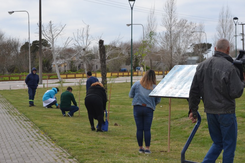 Alumnos y funcionarios plantaron árboles en el Paseo del Bicentenario
