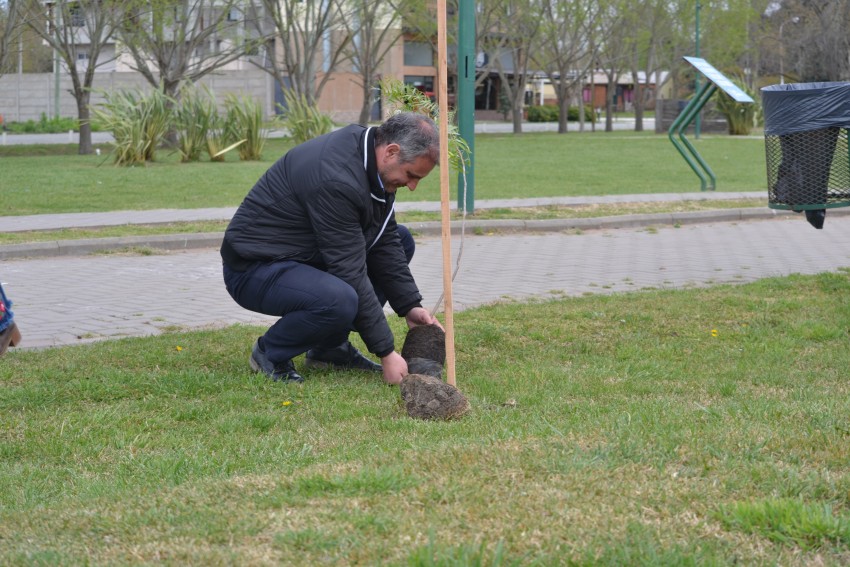 Alumnos y funcionarios plantaron árboles en el Paseo del Bicentenario