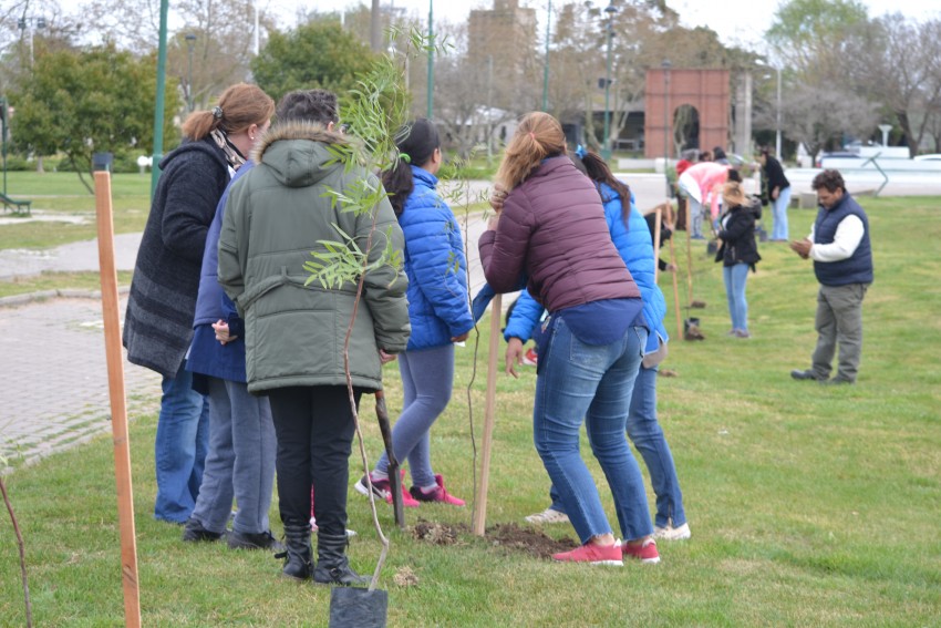 Alumnos y funcionarios plantaron rboles en el Paseo del Bicentenario