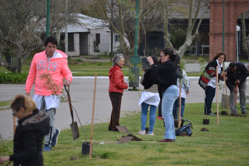 Alumnos y funcionarios plantaron árboles en el Paseo del Bicentenario