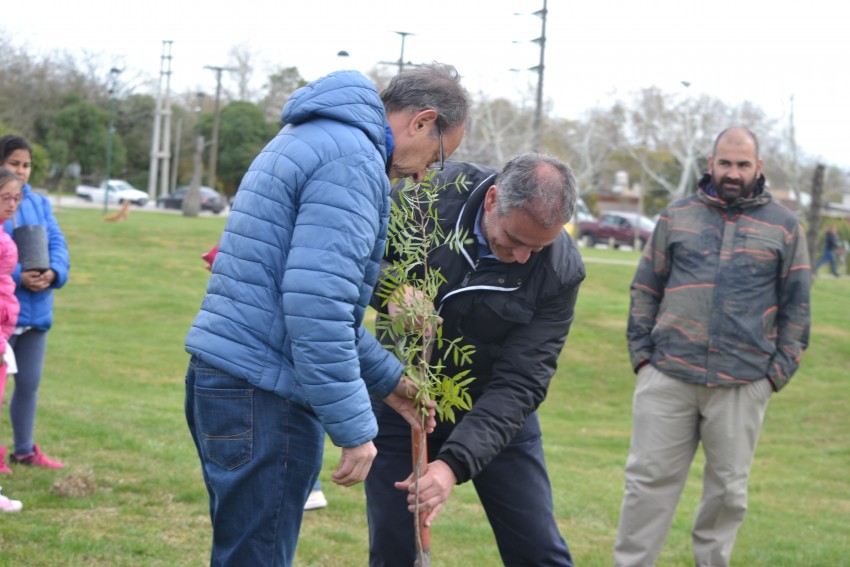 Alumnos y funcionarios plantaron árboles en el Paseo del Bicentenario