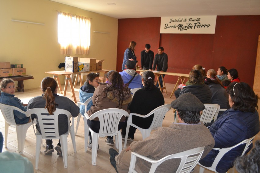 Entregaron pollitas bebés a familias locales