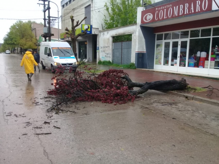 Bomberos tuvieron 16 servicios de asistencia por la tormenta que afect