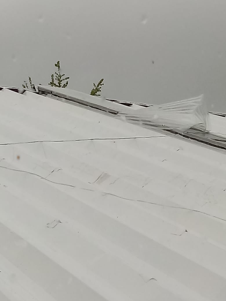 Bomberos tuvieron 16 servicios de asistencia por la tormenta que afect