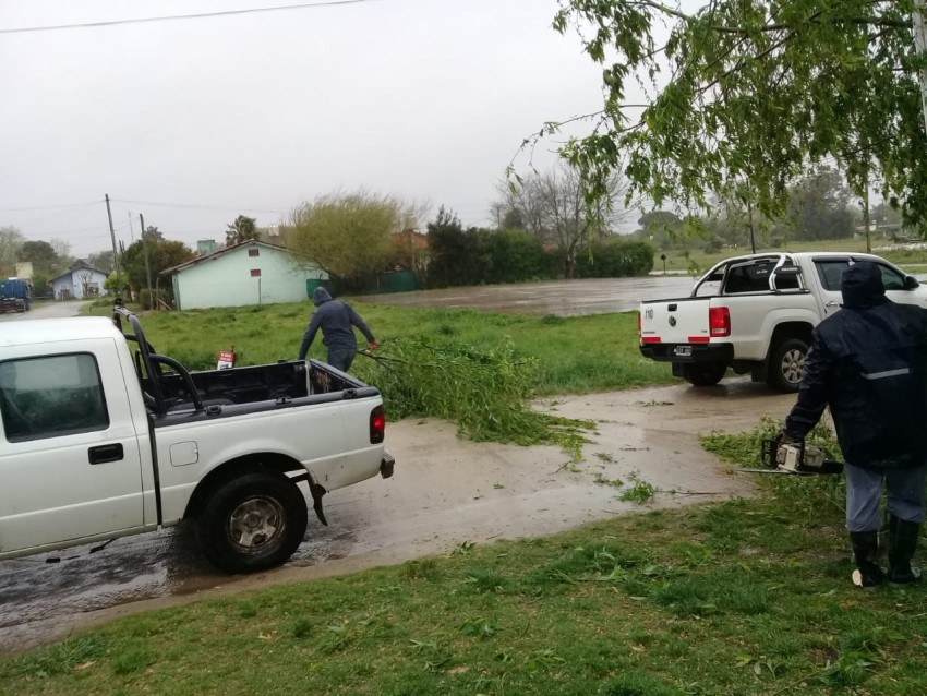 Bomberos tuvieron 16 servicios de asistencia por la tormenta que afect