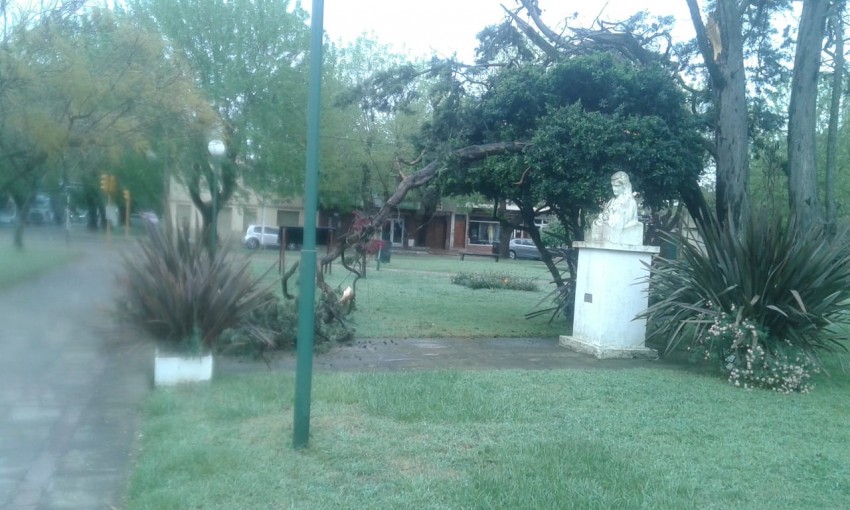 Cmo va a continuar el tiempo en Madariaga?