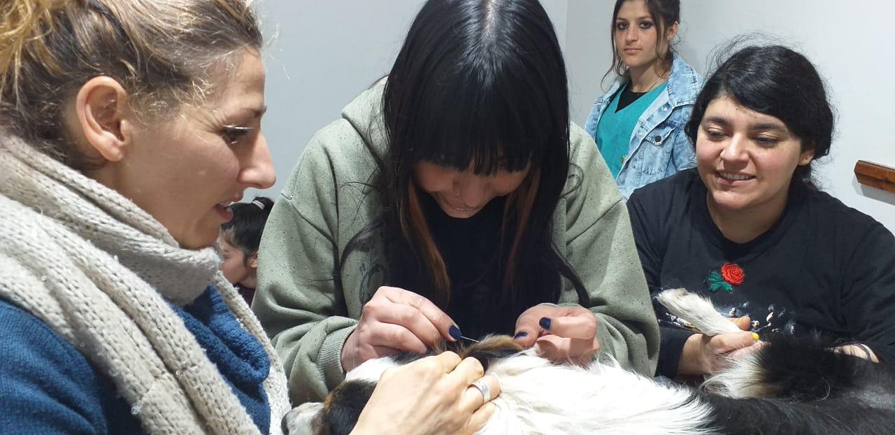 Estudiantes del curso 