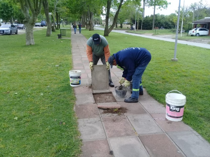 Renuevan las baldosas del boulevard central de la Buenos Aires