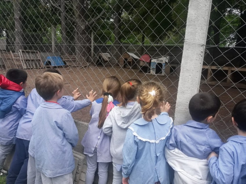 Profundizan los trabajos de concientizaci�n sobre la tenencia responsa