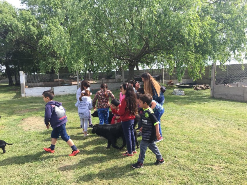 Alumnos del CEC visitaron el refugio municipal