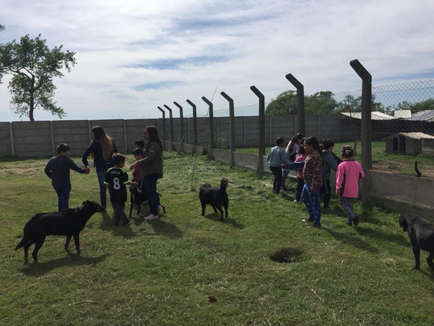Alumnos del CEC visitaron el refugio municipal