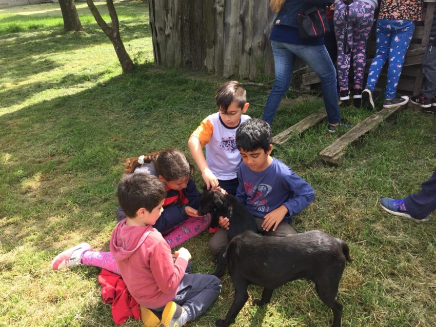 Alumnos del CEC visitaron el refugio municipal