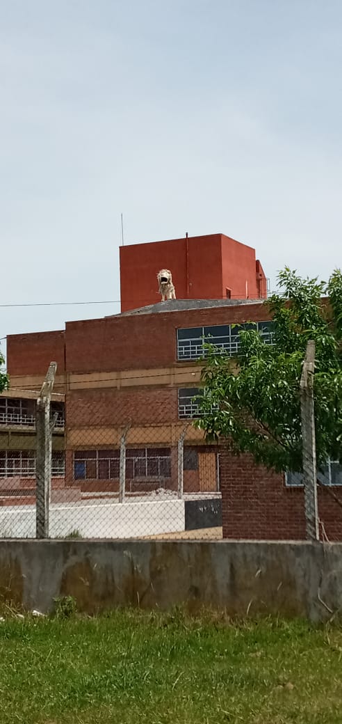 Destrozos en la Unidad Académica en una presunta