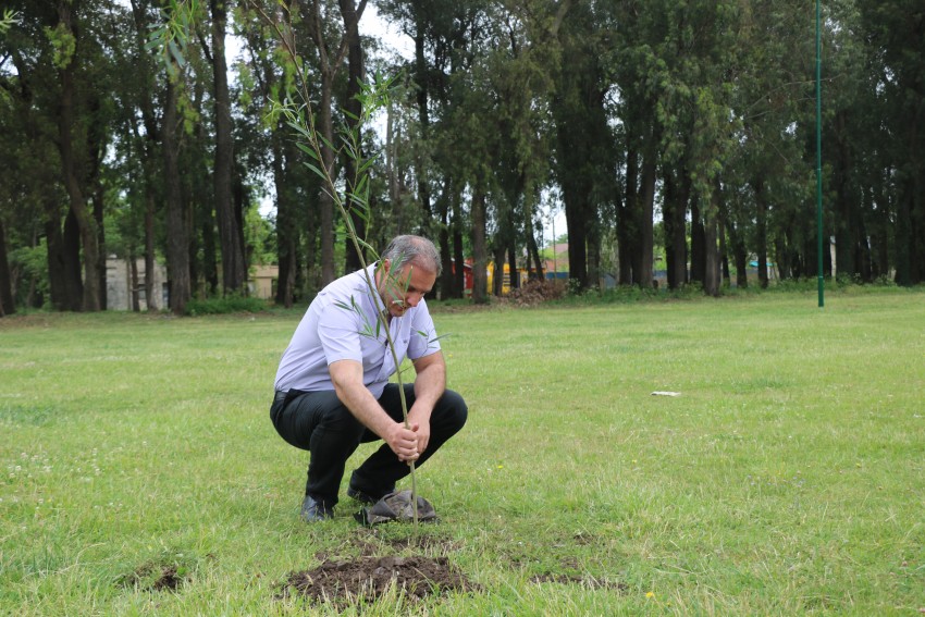 Plantaron 50 rboles en el predio de la estacin