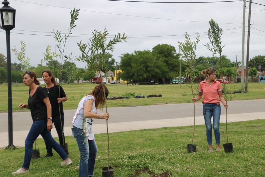 Plantaron 50 rboles en el predio de la estacin