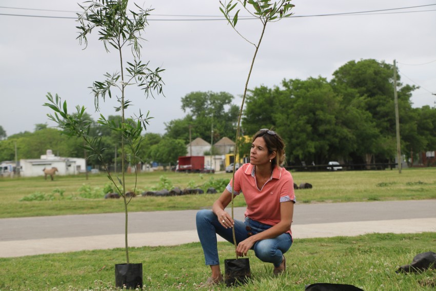 Plantaron 50 rboles en el predio de la estacin