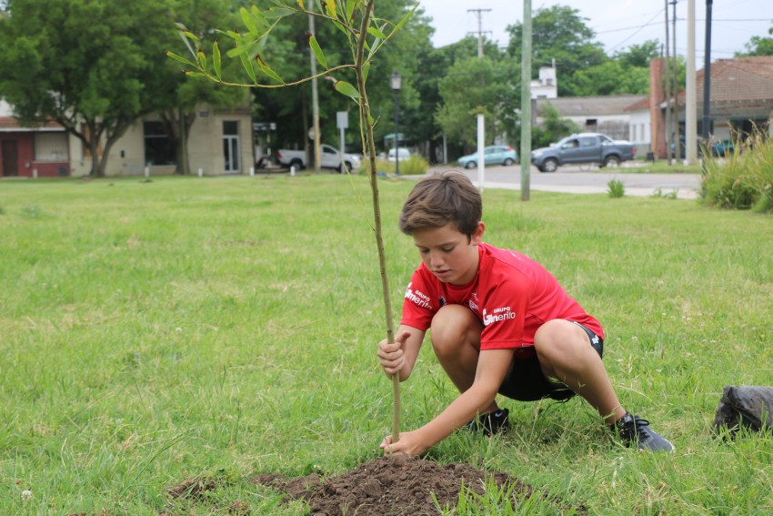 Plantaron 50 rboles en el predio de la estacin
