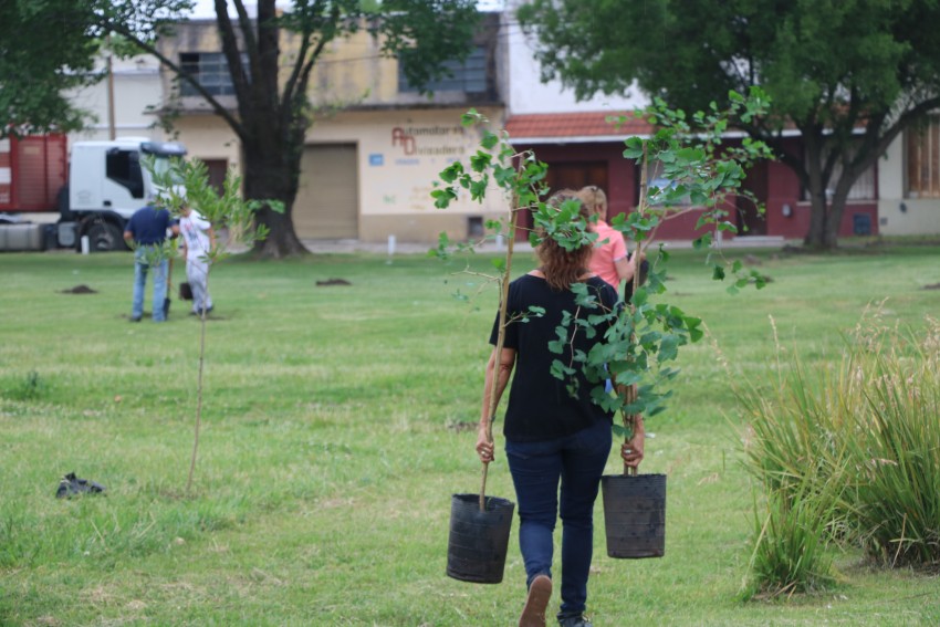 Plantaron 50 rboles en el predio de la estacin