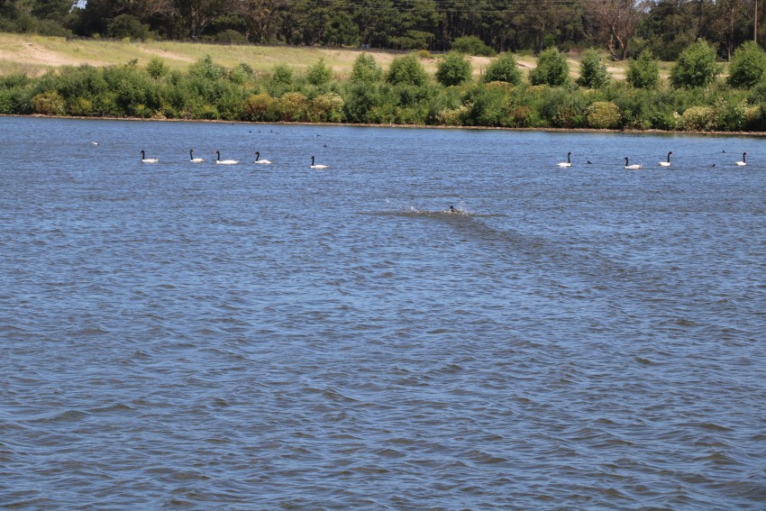 Presentaron el Master Plan de la Mansa y funcionarios recorrieron la z