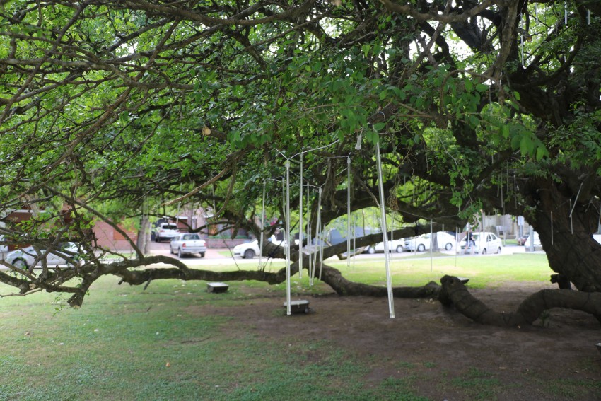 Personal municipal prepara la nueva ornamentacin navidea