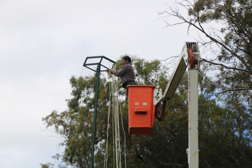 Personal municipal prepara la nueva ornamentacin navidea