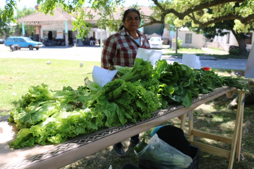 Inició la venta en el Mercado de la Estación