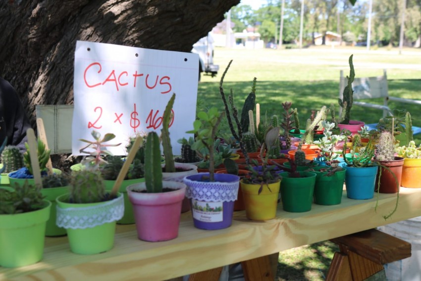 Inició la venta en el Mercado de la Estación