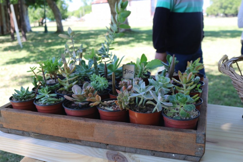 Inició la venta en el Mercado de la Estación