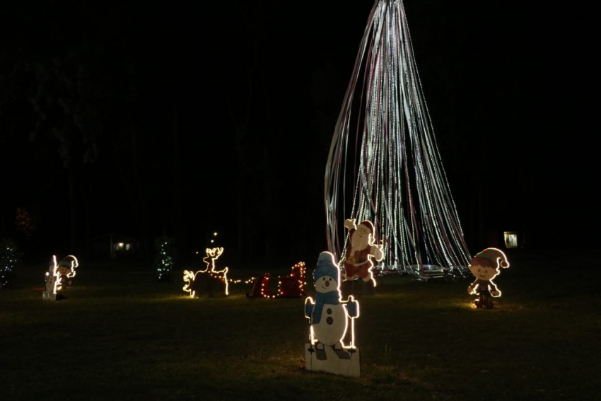 Se encendieron el arbolito y las luces ornamentales con motivo de las 