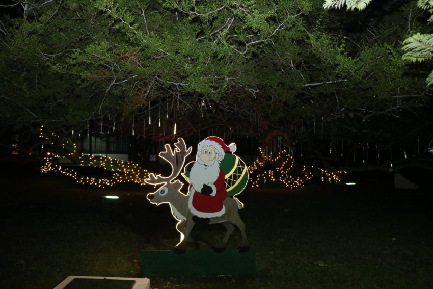Se encendieron el arbolito y las luces ornamentales con motivo de las 