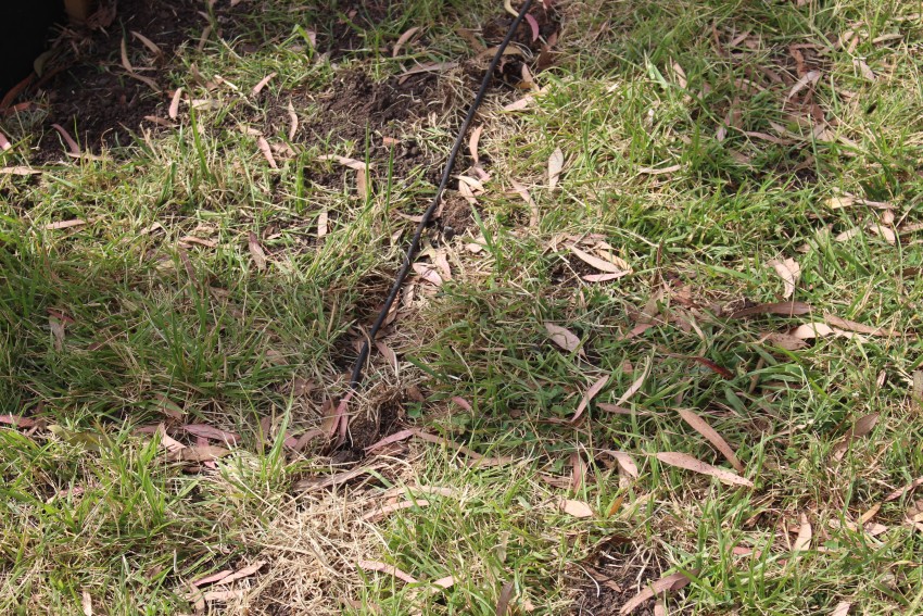 Daaron la ornamentacin navidea del predio de la estacin