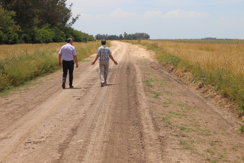 Culminaron el plan de obras 2018-2019 de caminos rurales