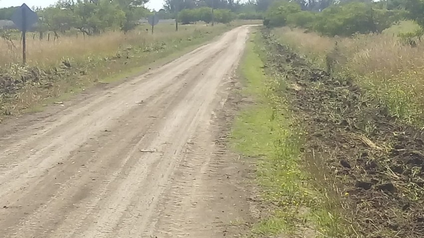 Intensificaron los arreglos en los caminos rurales