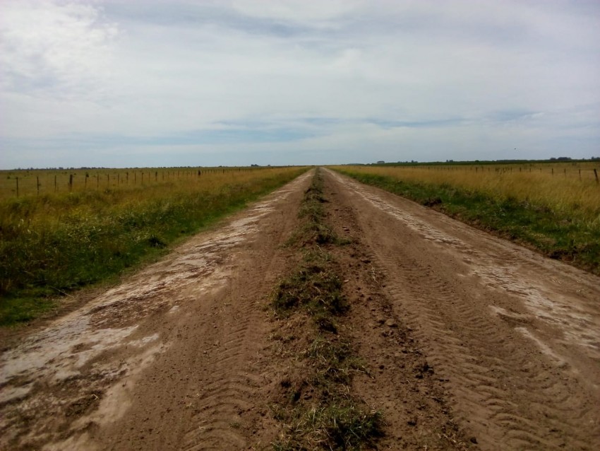 Intensificaron los arreglos en los caminos rurales
